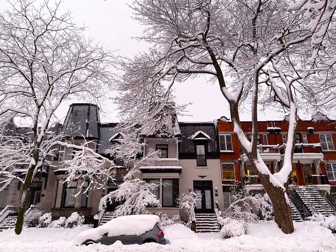 Why Grounding Accessories Are Essential for Montréal Winter Sadness (SAD)