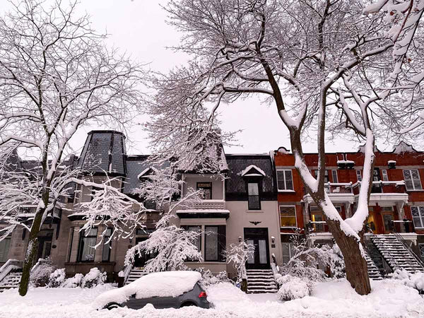 Why Grounding Accessories Are Essential for Montréal Winter Sadness (SAD)